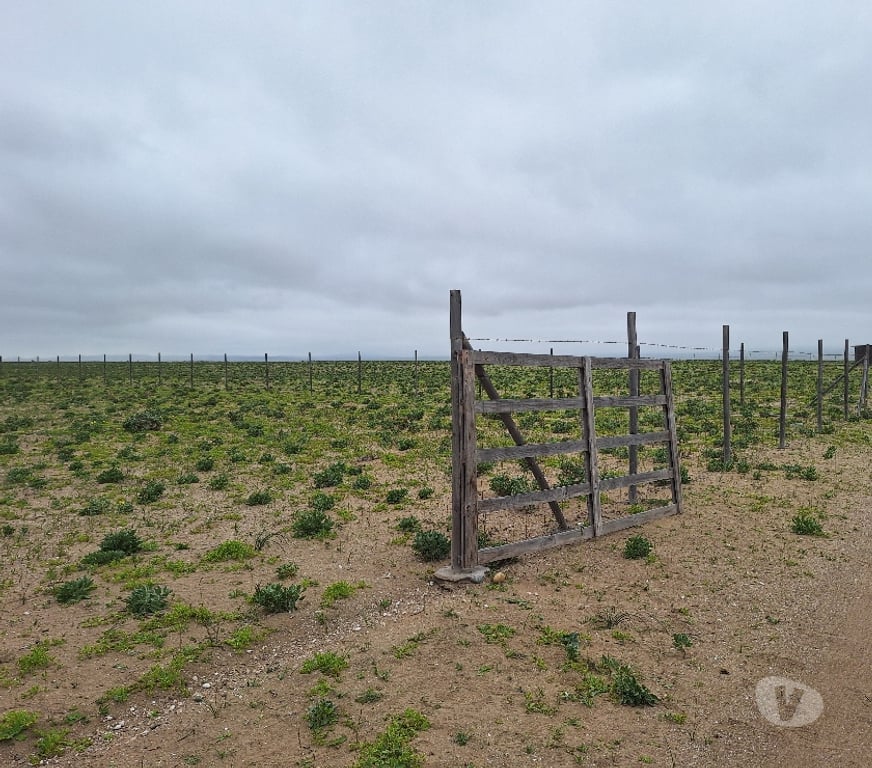 Venta de Haciendas Elqui La Higuera - Fotos de Los choros Los Llanos