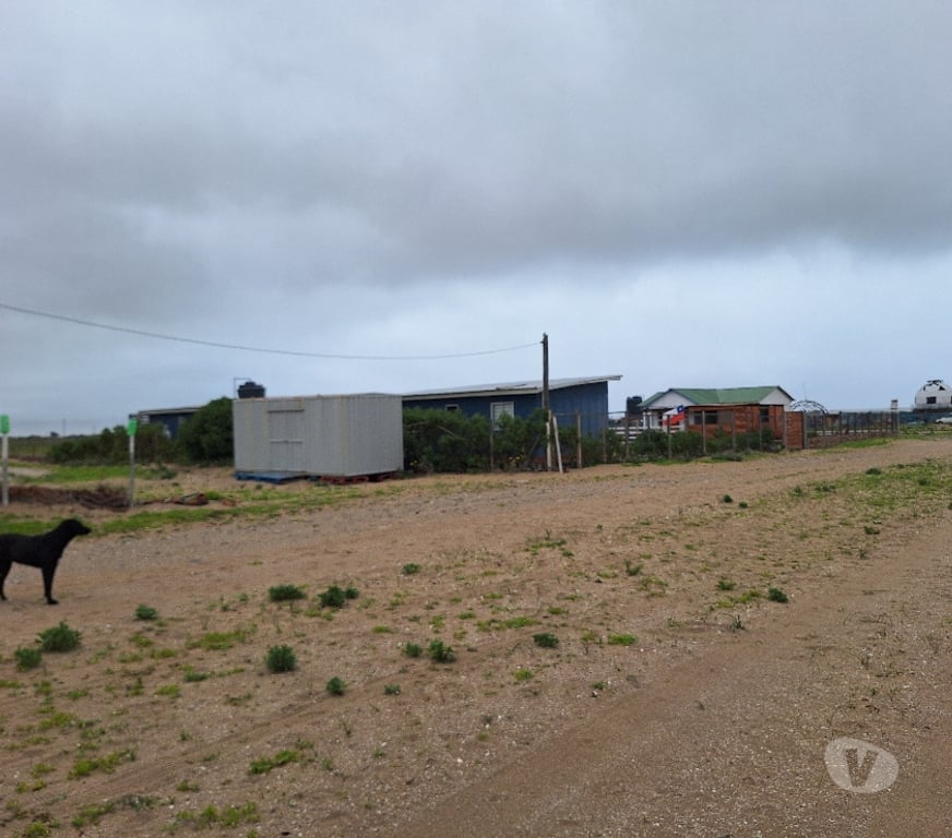 Venta de Haciendas Elqui La Higuera - Fotos de Los choros Los Llanos