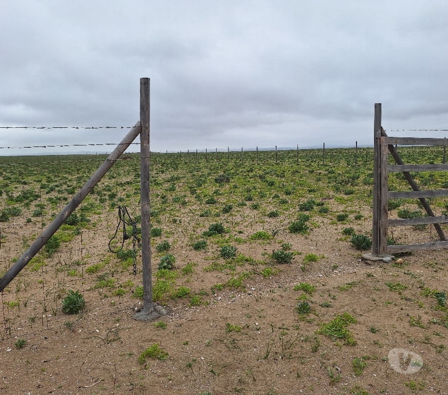 Venta de Haciendas Elqui La Higuera - Fotos de Los choros Los Llanos