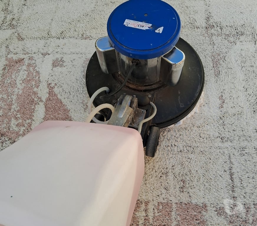 Otros Servicios Valparaíso Concón - Fotos de Lavado de alfombras en concon costa bosques 983295267