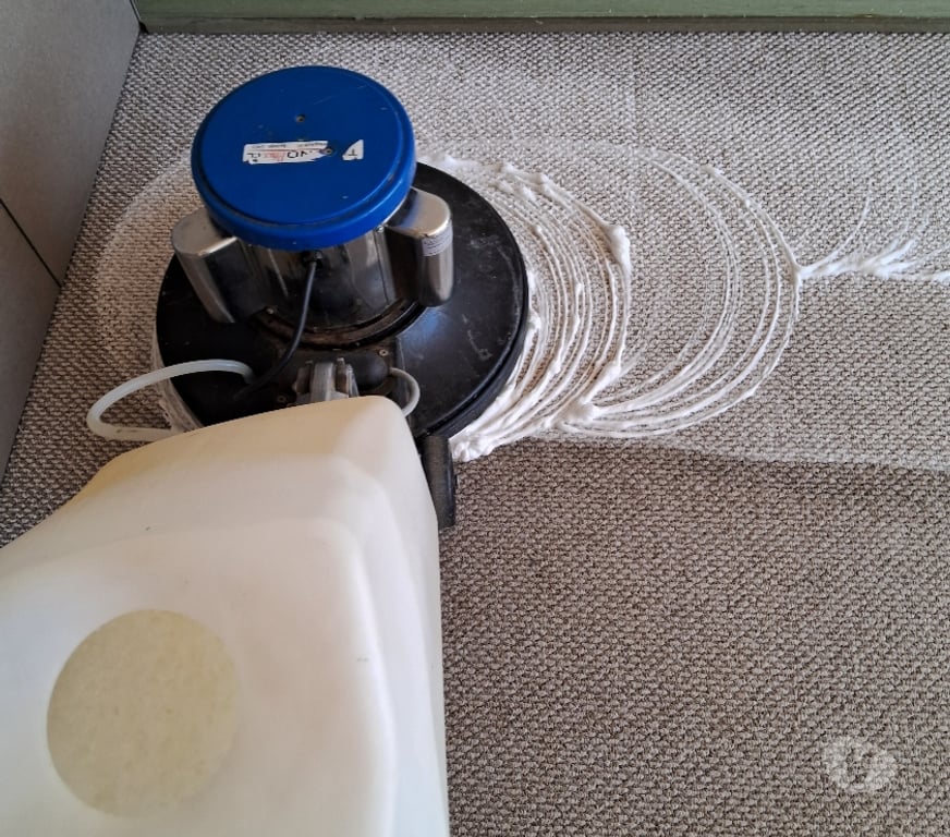 Otros Servicios Valparaíso Concón - Fotos de Lavado de alfombras en concon costa bosques 983295267