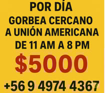 Arriendo de estacionamiento por día o por bloques en Gorbea