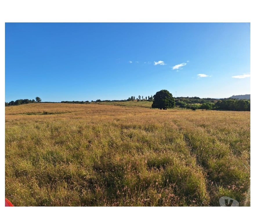 Venta de Haciendas Chiloé Castro - Fotos de Venta 4.5hás vista al mar e islas, agua, luz, camino.