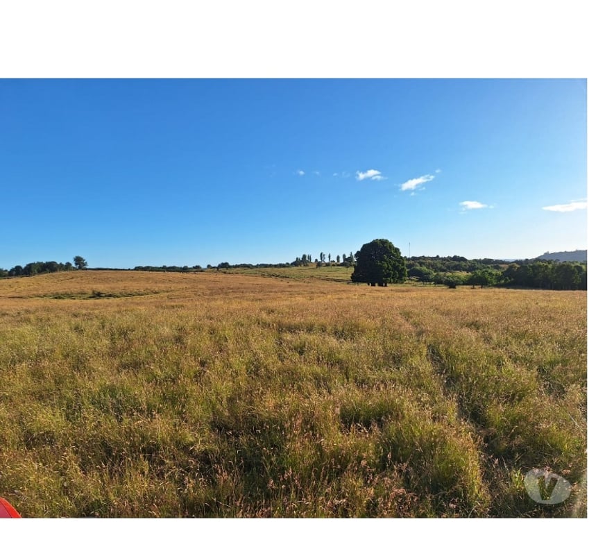 Venta de Haciendas Chiloé Castro - Fotos de Venta 4.5hás vista al mar e islas, agua, luz, camino.