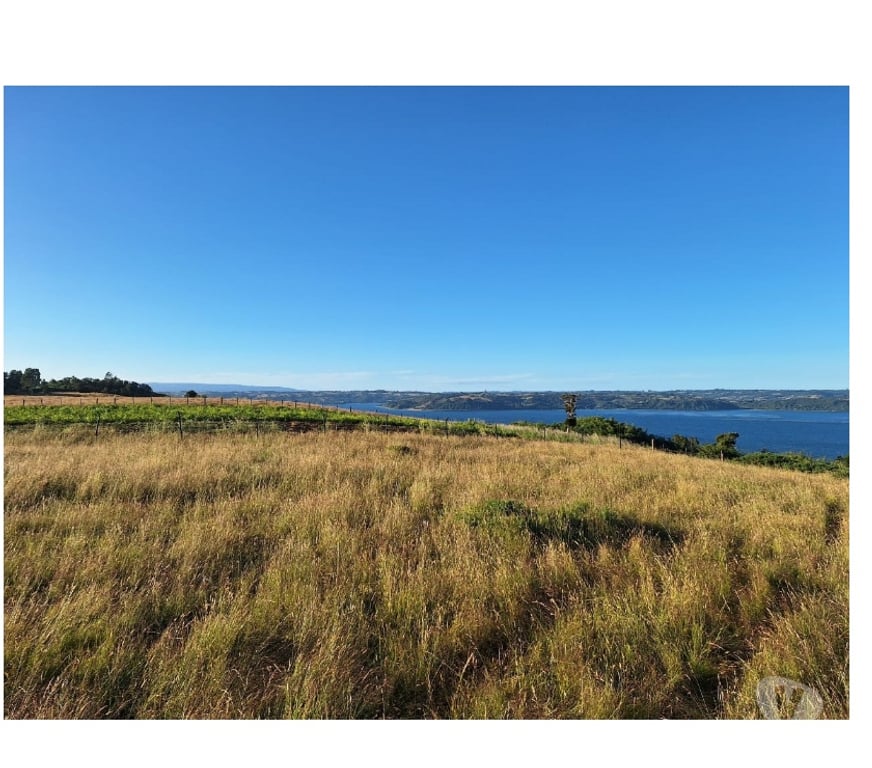 Venta de Haciendas Chiloé Castro - Fotos de Venta 4.5hás vista al mar e islas, agua, luz, camino.