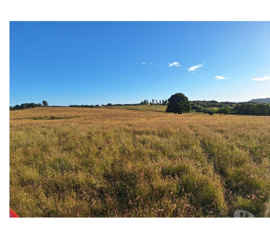 Venta de Haciendas Chiloé Castro - Fotos de Venta 4.5hás vista al mar e islas, agua, luz, camino.