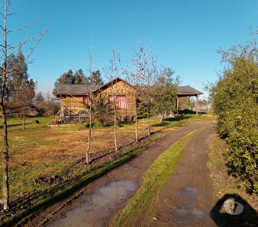Bienes Raices Talca Maule - Fotos de Vende su Dueño Parcela 5100m2
