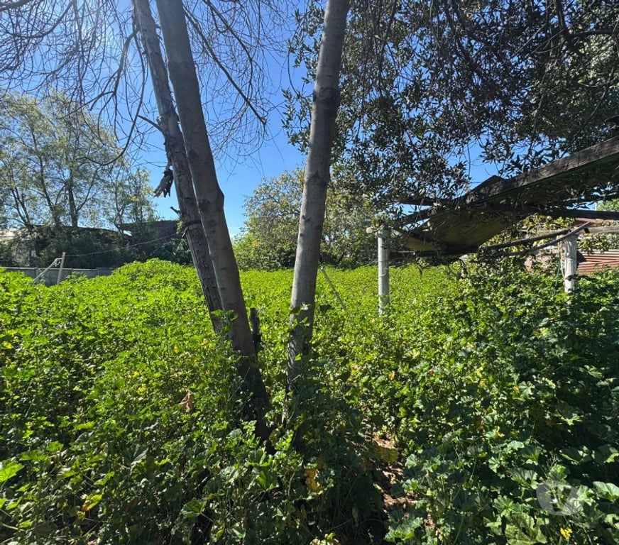 Parcelas en Venta Cachapoal Rancagua - Fotos de Terreno Zañartu , Rancagua