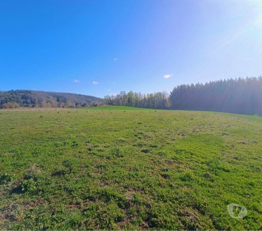 Parcelas en Venta Cautín Villarrica - Fotos de Hermosa parcela a pasos de la ruta 5 sur