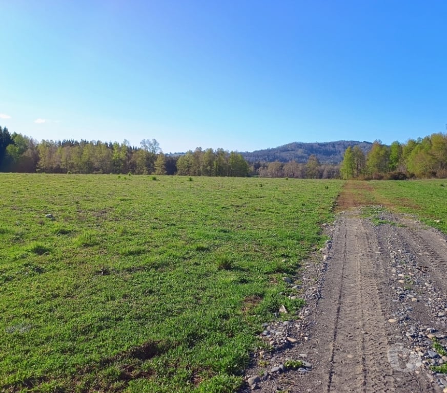 Parcelas en Venta Cautín Villarrica - Fotos de Hermosa parcela a pasos de la ruta 5 sur