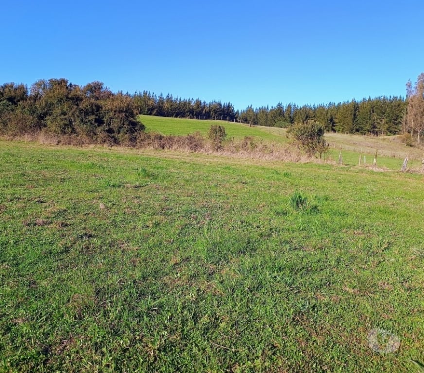 Parcelas en Venta Cautín Villarrica - Fotos de Hermosa parcela a pasos de la ruta 5 sur
