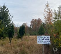 Hermosa parcela ruta Villarrica a Freire