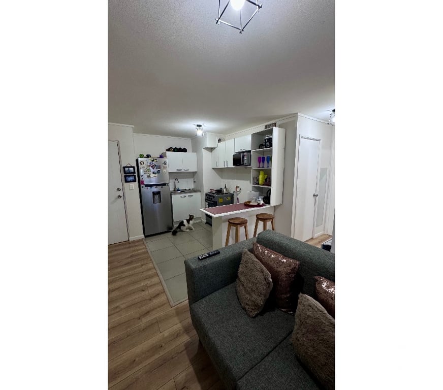Casas amobladas Osorno Osorno - Fotos de ARRIENDO DEPTO COMPARTIDO