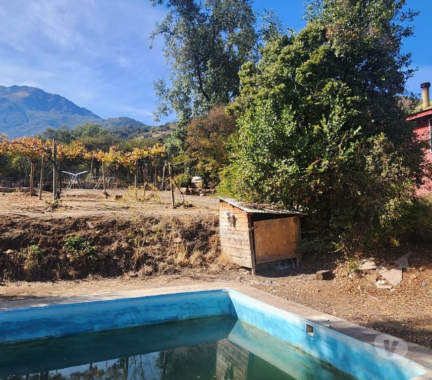 Bienes Raices Cachapoal Mostazal - Fotos de VENDO 2 HECTAREAS, FUNDO LA PUNTA, SN FRANCISCO DE MOSTAZAL