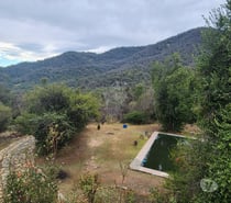 VENDO 2 HECTAREAS, FUNDO LA PUNTA, SN FRANCISCO DE MOSTAZAL