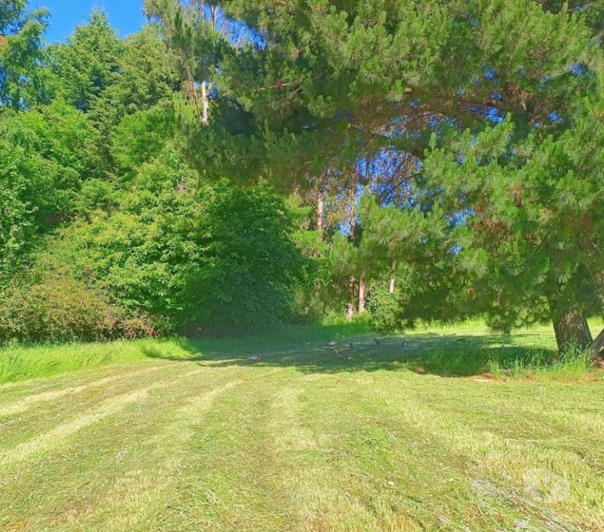 Parcelas en Venta Cautín Villarrica - Fotos de Parcelas con excelente conectividad