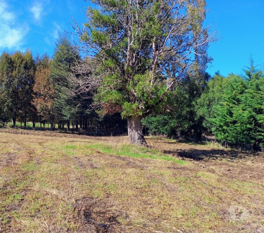 Parcelas en Venta Cautín Villarrica - Fotos de Parcelas con excelente conectividad