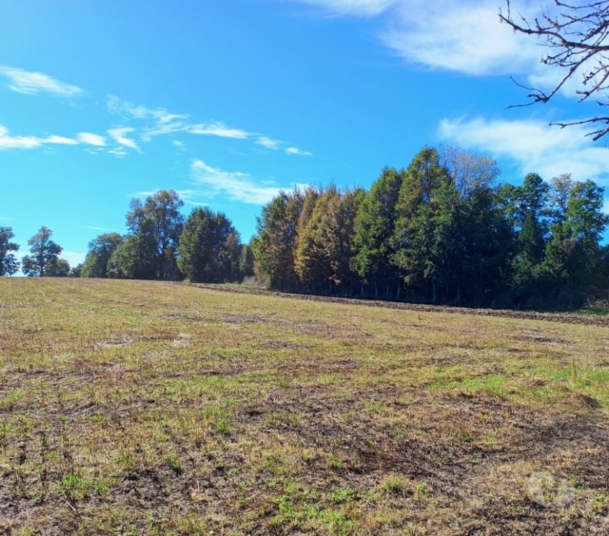Parcelas en Venta Cautín Villarrica - Fotos de Parcelas con excelente conectividad