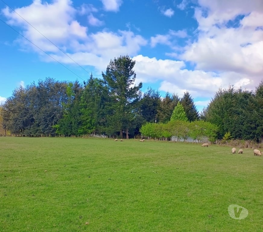 Parcelas en Venta Cautín Villarrica - Fotos de Parcelas con excelente conectividad
