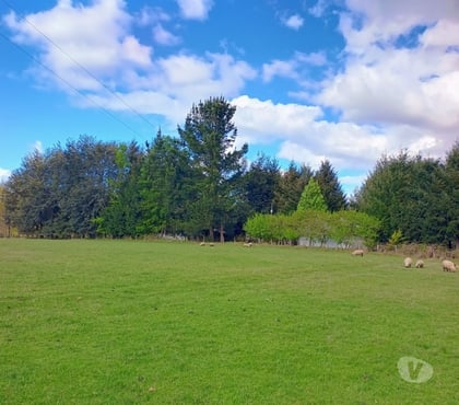 Terrenos en Venta Villarrica Cautín - Fotos de Parcelas con excelente conectividad