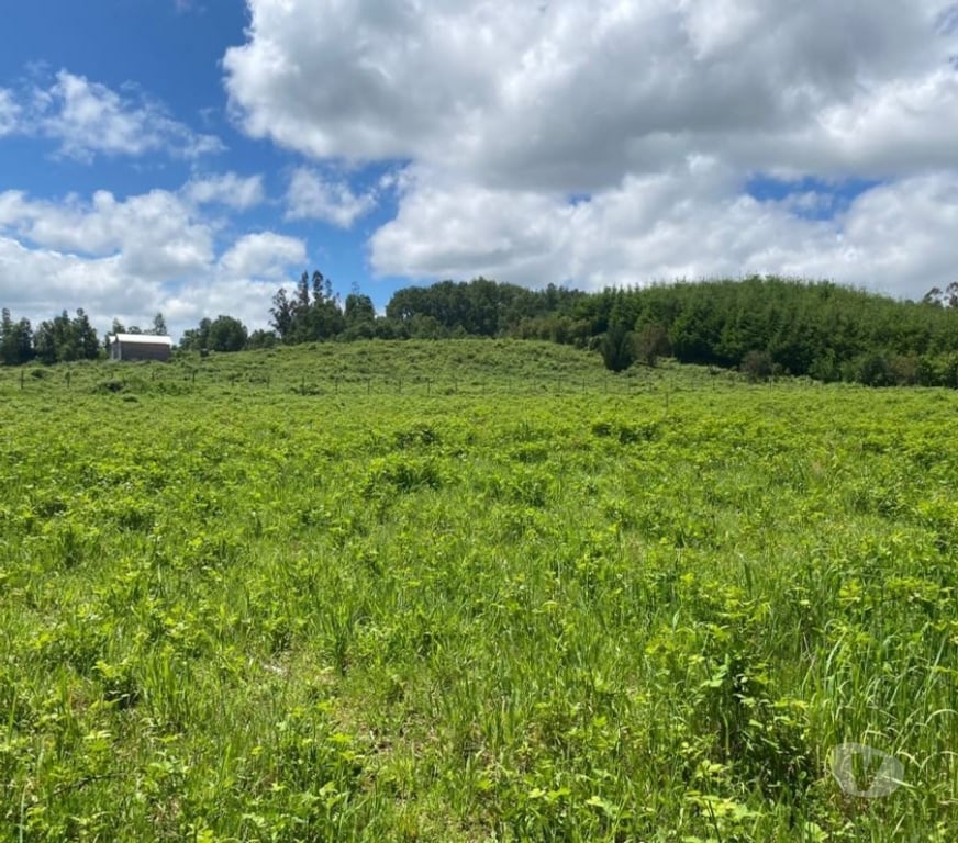 Parcelas en Venta Cautín Villarrica - Fotos de Parcela con excelente conectividad y plusvalía inigualable