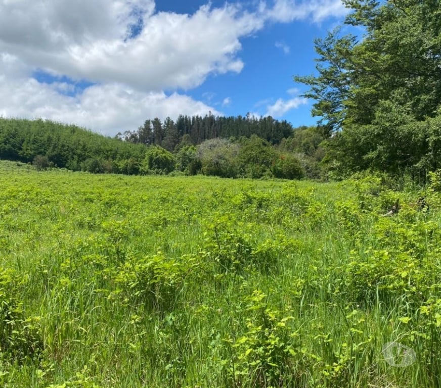Parcelas en Venta Cautín Villarrica - Fotos de Parcela con excelente conectividad y plusvalía inigualable