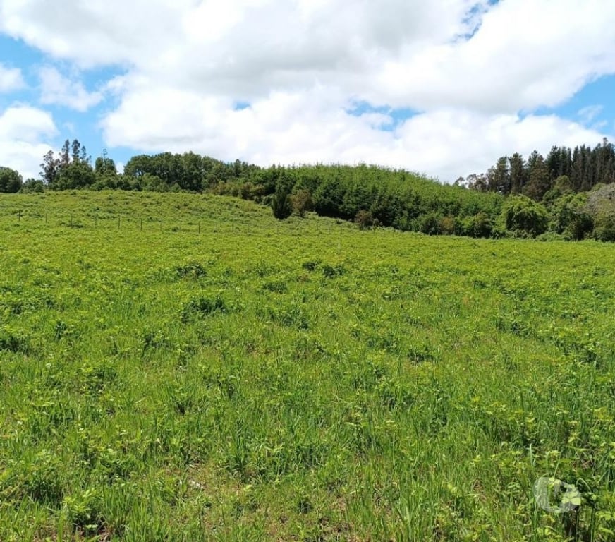 Parcelas en Venta Cautín Villarrica - Fotos de Parcela con excelente conectividad y plusvalía inigualable