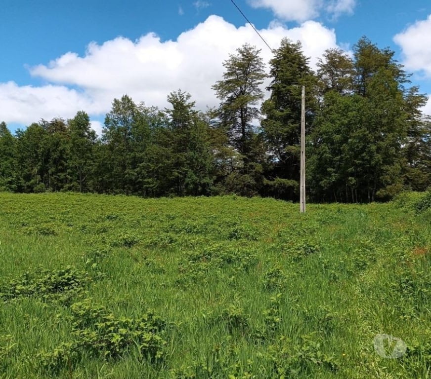 Parcelas en Venta Cautín Villarrica - Fotos de Parcela con excelente conectividad y plusvalía inigualable