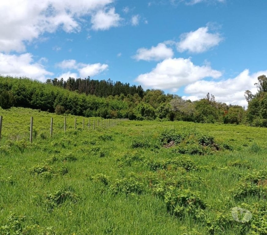 Parcelas en Venta Cautín Villarrica - Fotos de Parcela con excelente conectividad y plusvalía inigualable