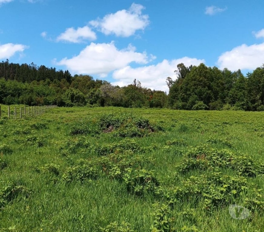 Parcelas en Venta Cautín Villarrica - Fotos de Parcela con excelente conectividad y plusvalía inigualable