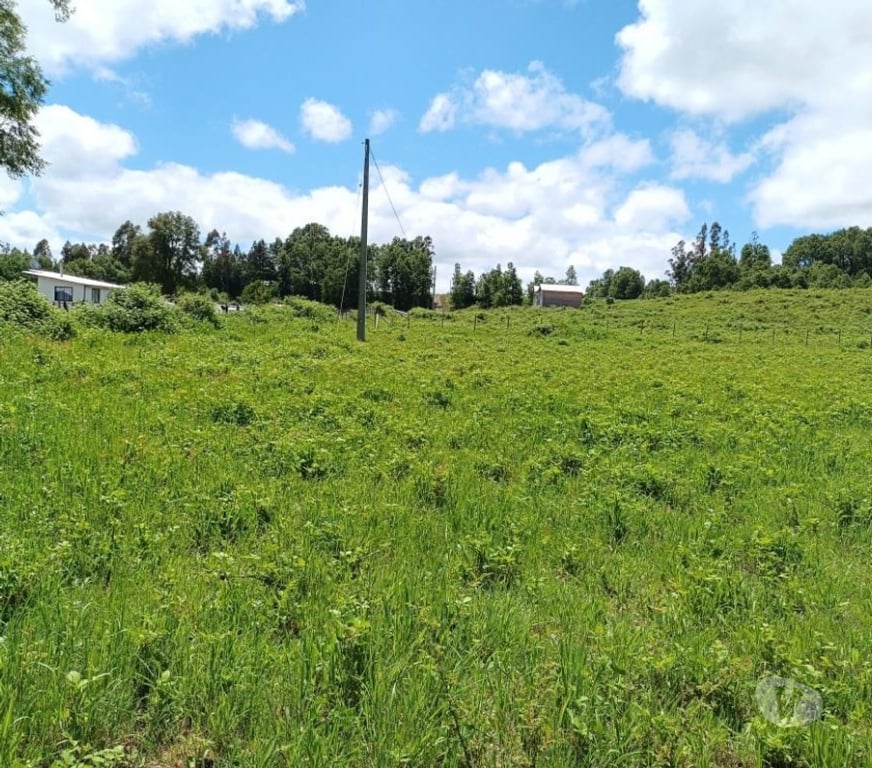Parcelas en Venta Cautín Villarrica - Fotos de Parcela con excelente conectividad y plusvalía inigualable