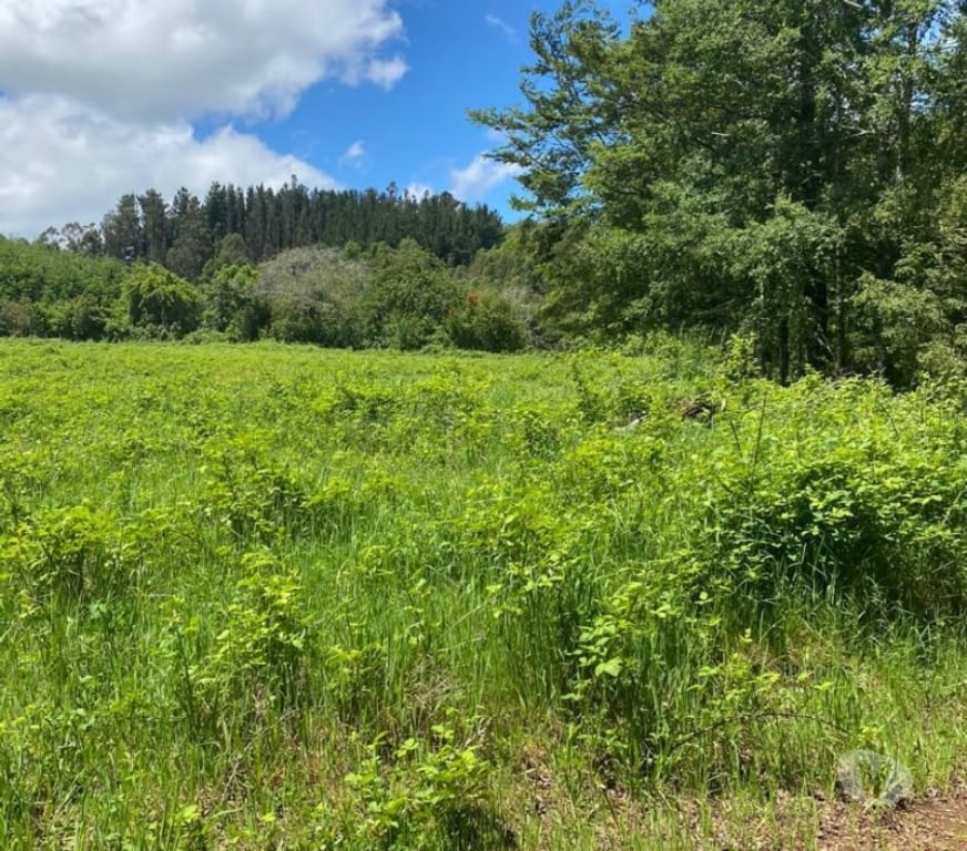 Parcelas en Venta Cautín Villarrica - Fotos de Parcela con excelente conectividad y plusvalía inigualable