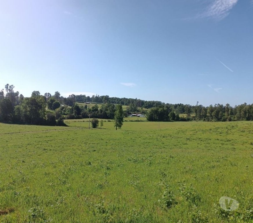 Parcelas en Venta Cautín Villarrica - Fotos de Parcela con hermosos paisajes