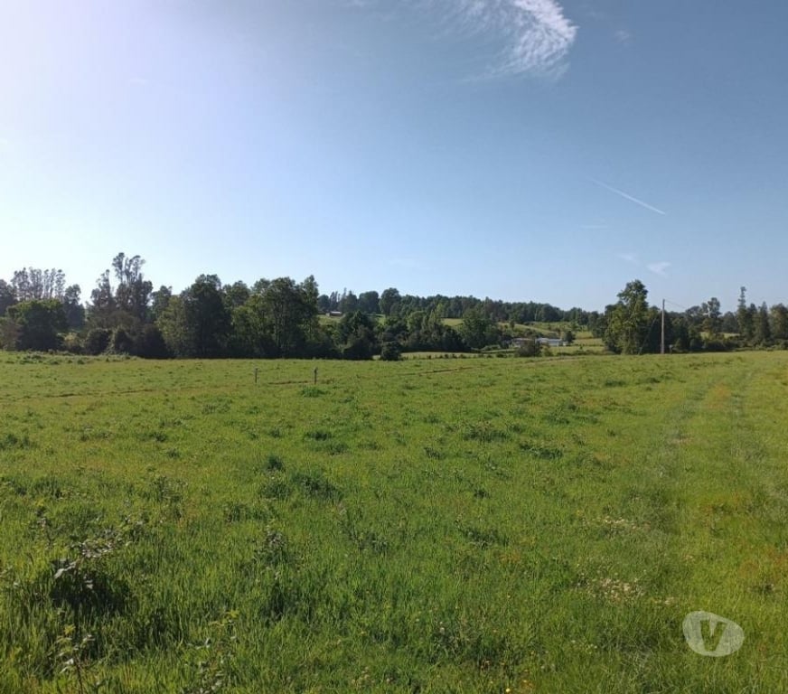 Parcelas en Venta Cautín Villarrica - Fotos de Parcela con hermosos paisajes