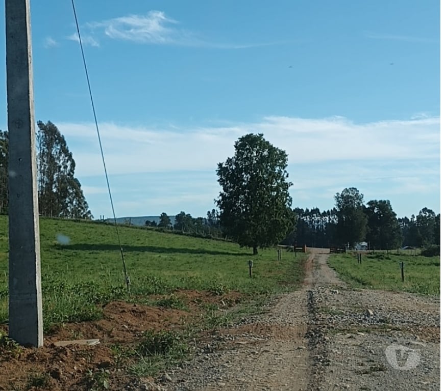 Parcelas en Venta Cautín Villarrica - Fotos de Parcela con hermosos paisajes