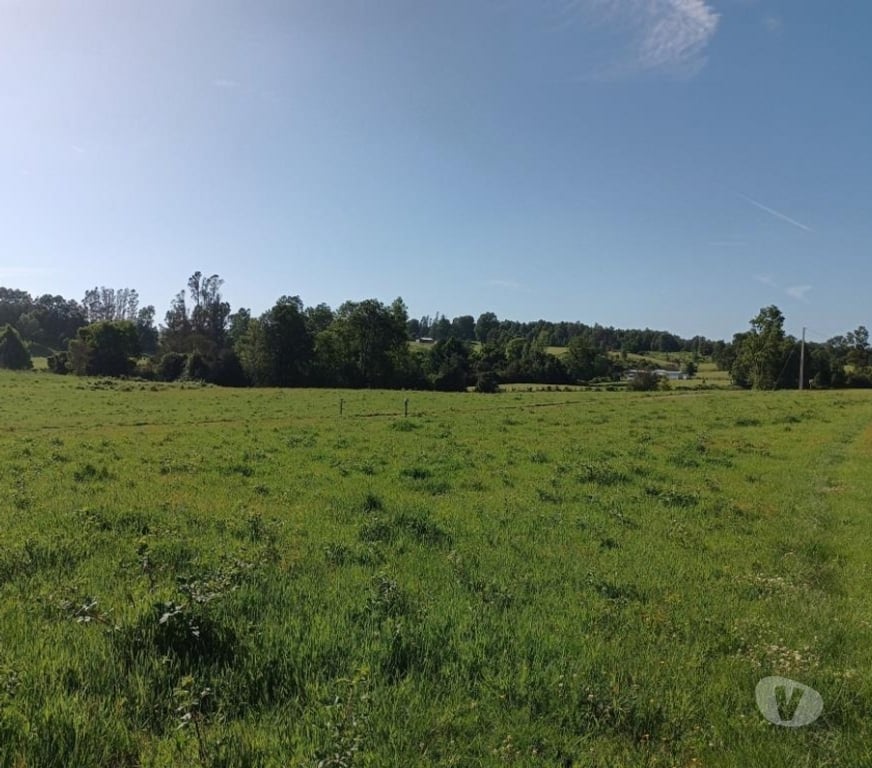 Parcelas en Venta Cautín Villarrica - Fotos de Parcela con hermosos paisajes