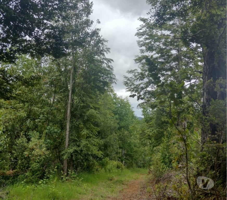 Parcelas en Venta Cautín Villarrica - Fotos de Parcela con hermosa vista desde su planicie