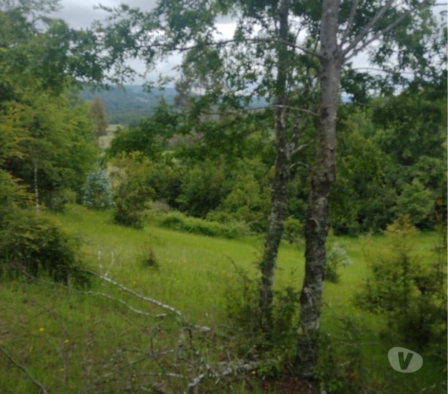 Parcelas en Venta Cautín Villarrica - Fotos de Parcela con hermosa vista desde su planicie