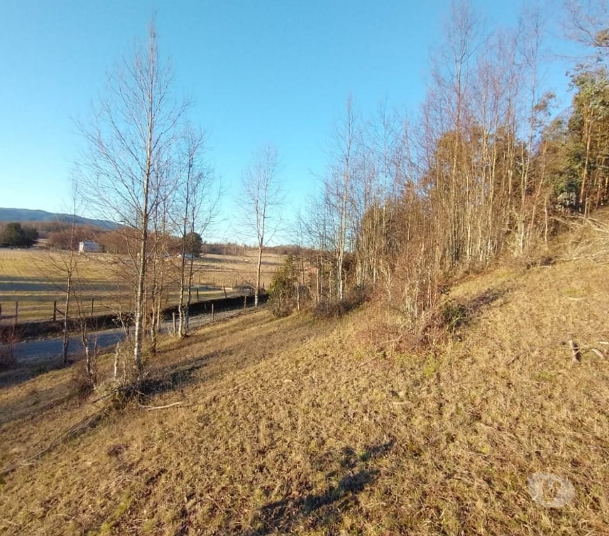 Parcelas en Venta Cautín Villarrica - Fotos de Parcela con hermosa vista desde su planicie