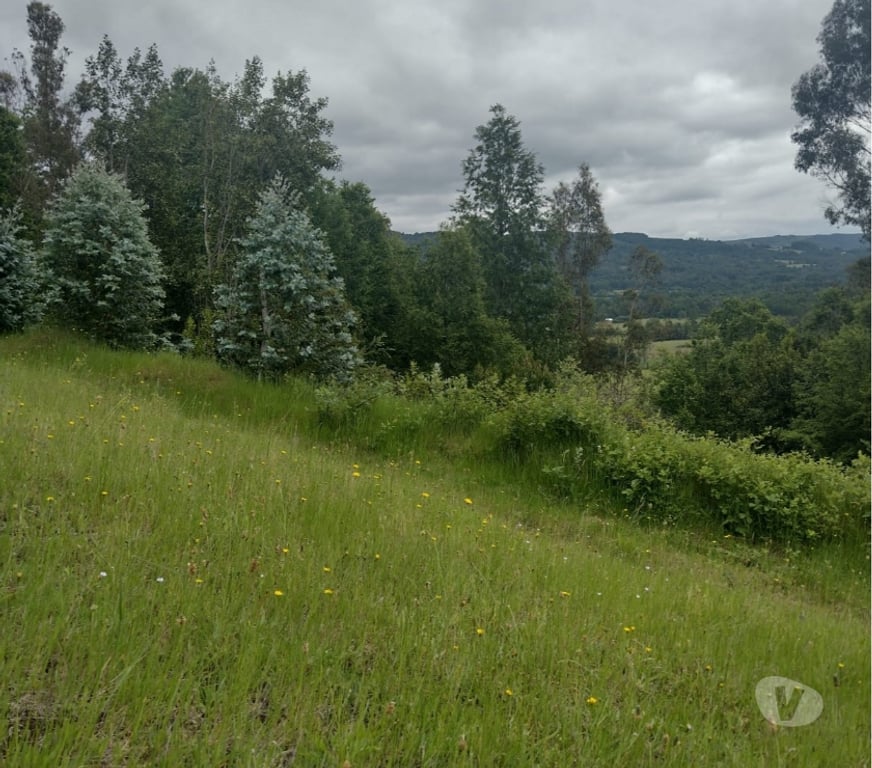 Parcelas en Venta Cautín Villarrica - Fotos de Parcela con hermosa vista desde su planicie