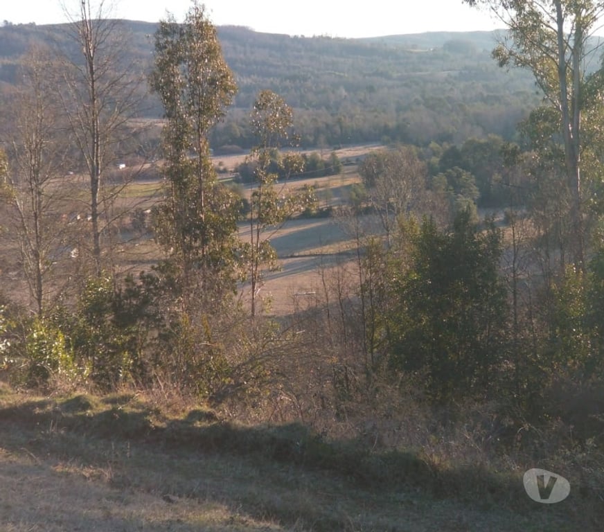 Parcelas en Venta Cautín Villarrica - Fotos de Parcela con hermosa vista desde su planicie