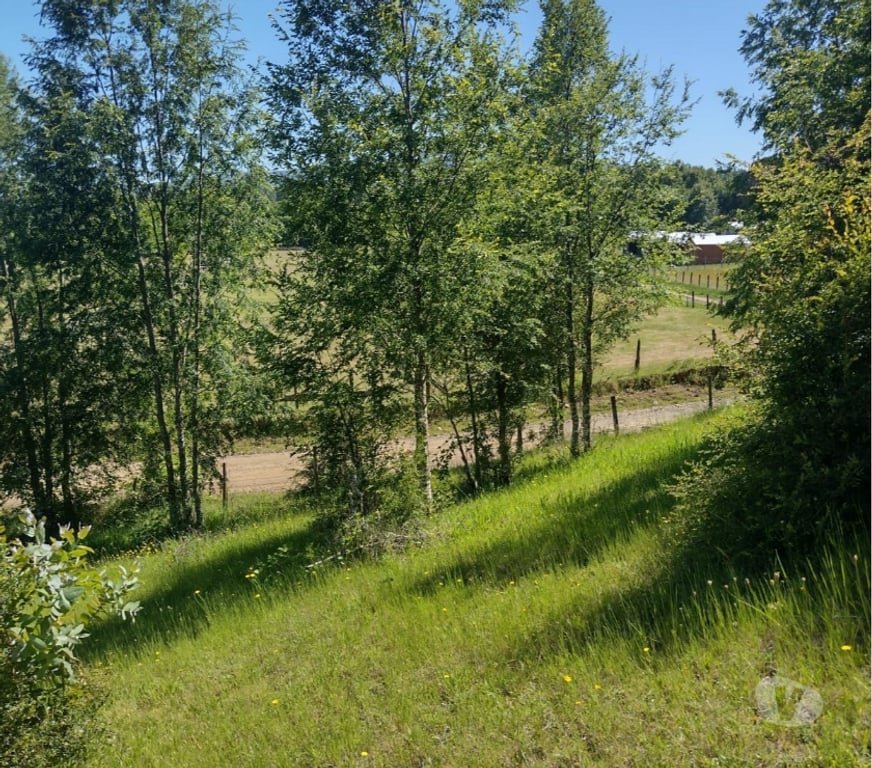 Parcelas en Venta Cautín Villarrica - Fotos de Parcela con hermosa vista desde su planicie