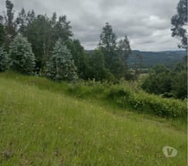 Fotos de Parcela con hermosa vista desde su planicie