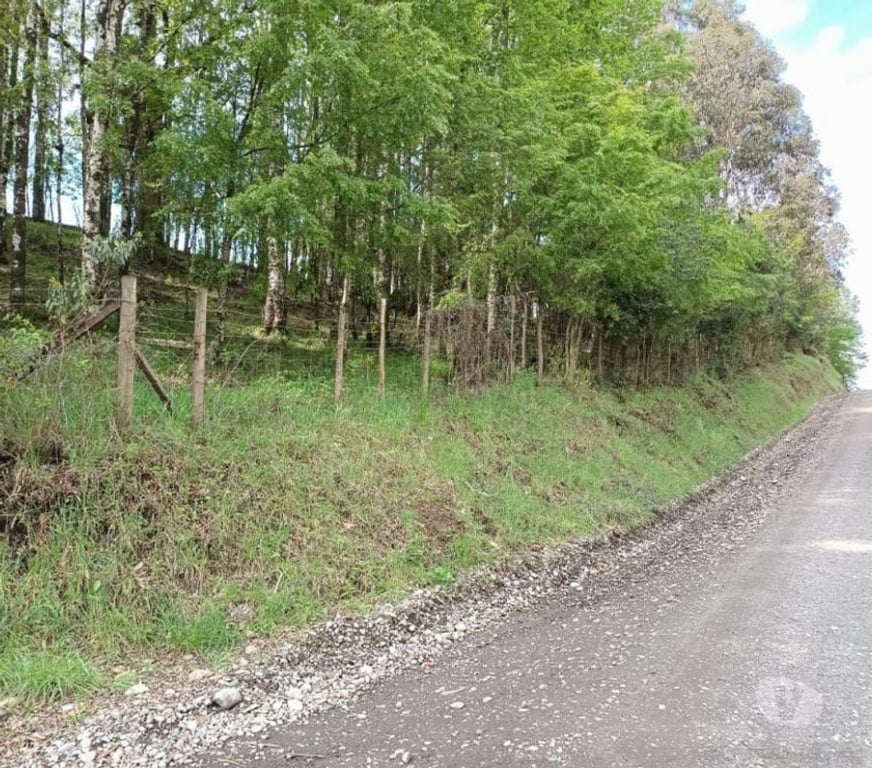 Parcelas en Venta Cautín Villarrica - Fotos de Hermoso terreno de una hectárea