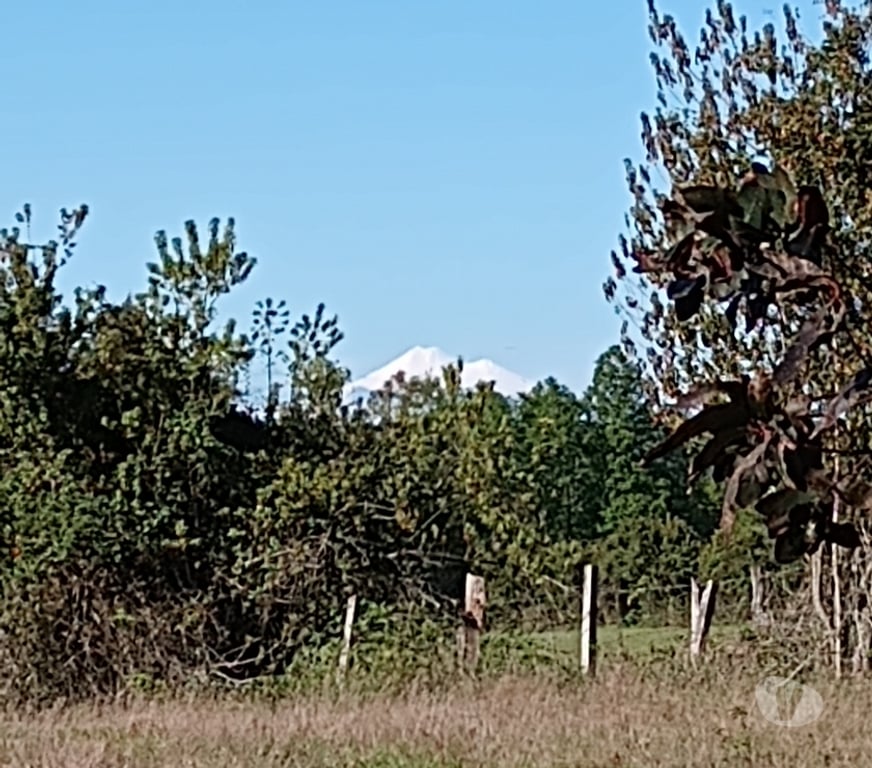Parcelas en Venta Cautín Villarrica - Fotos de Hermoso terreno de una hectárea