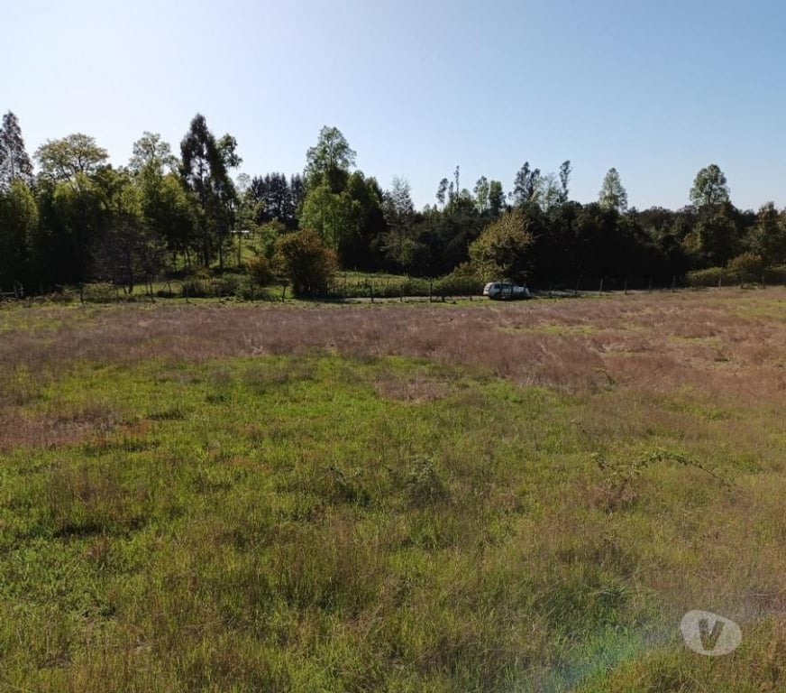 Parcelas en Venta Cautín Villarrica - Fotos de Hermoso terreno de una hectárea