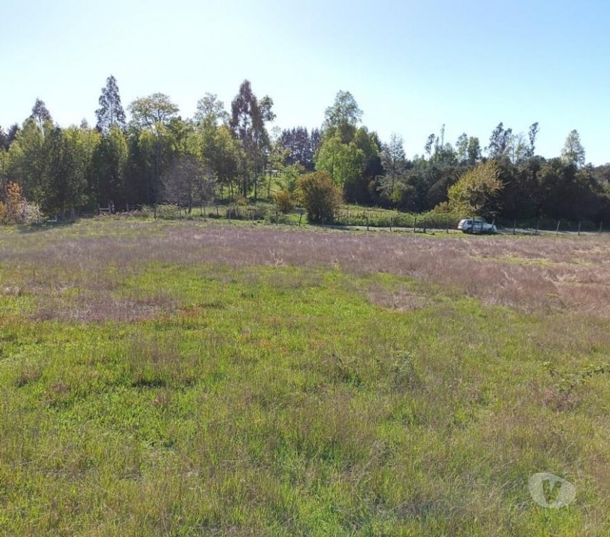 Parcelas en Venta Cautín Villarrica - Fotos de Hermoso terreno de una hectárea