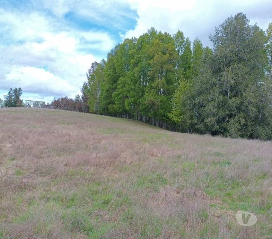 Parcelas en Venta Cautín Villarrica - Fotos de Hermoso terreno de una hectárea