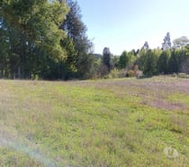 Fotos de Hermoso terreno de una hectárea