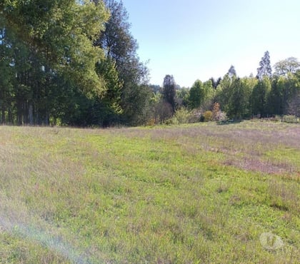 Parcelas en venta Villarrica Cautín - Fotos de Hermoso terreno de una hectárea